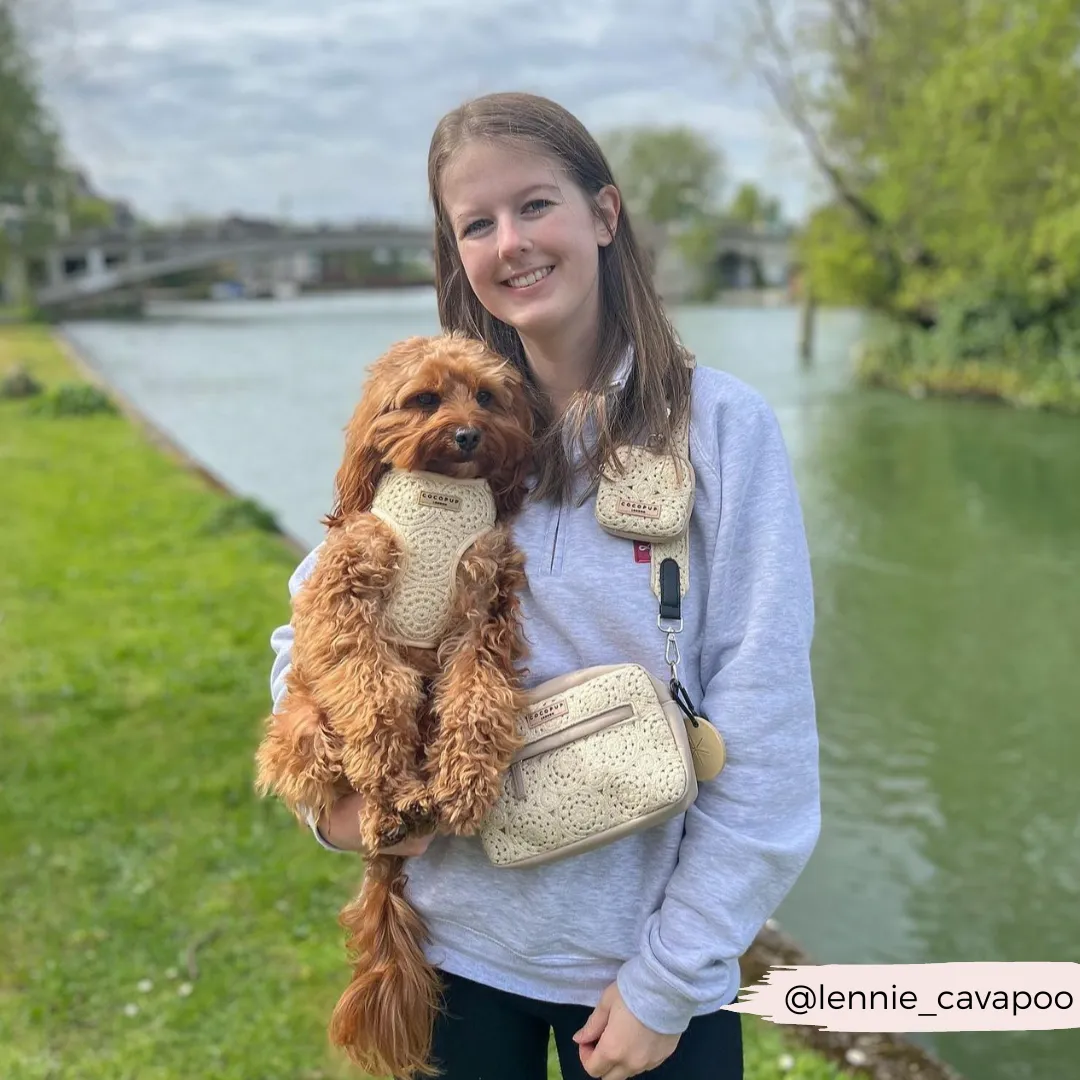 Dog Walking Bag - Festival Crochet