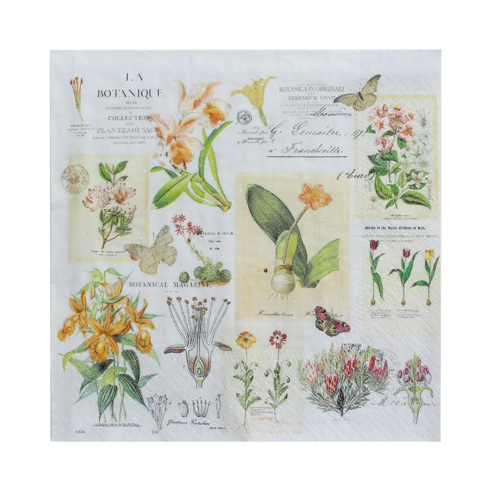 Little Birdie Decoupage Napkin 12"x 12" - Botanical Delight*